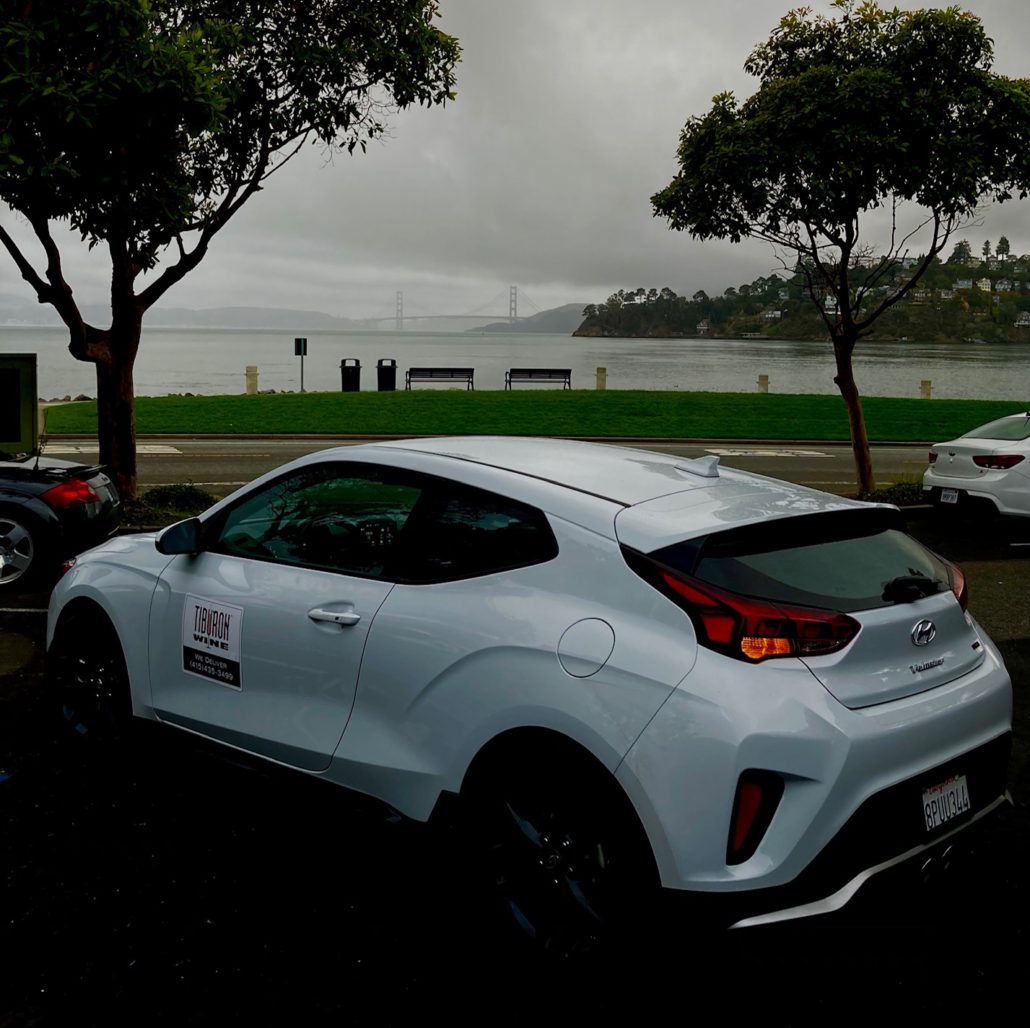 veloster ggb